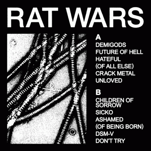 Health : Rat Wars Health : Rat Wars
